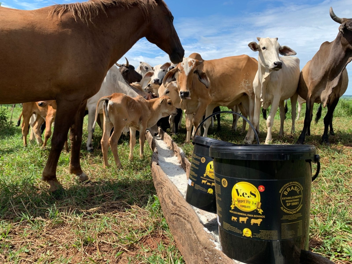 Essencial para nutrição, produtos agropecuários potencializa saúde de animais de médio e grande porte