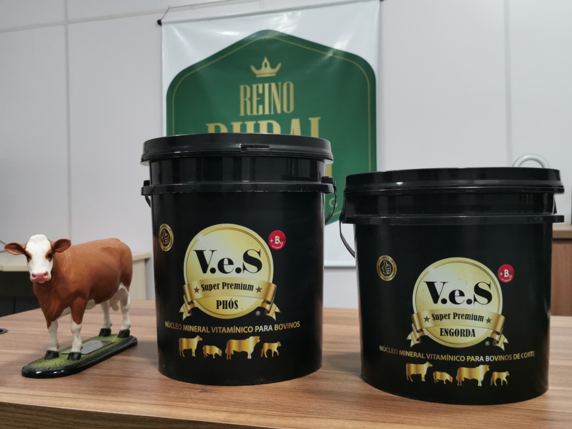 Seca no campo: Reino Rural ajuda agropecuaristas a manterem o desempenho do gado de corte mesmo com pastagens secas e clima extremo